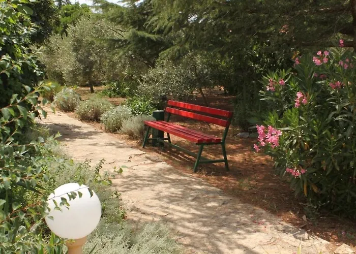 8241d أوغليان